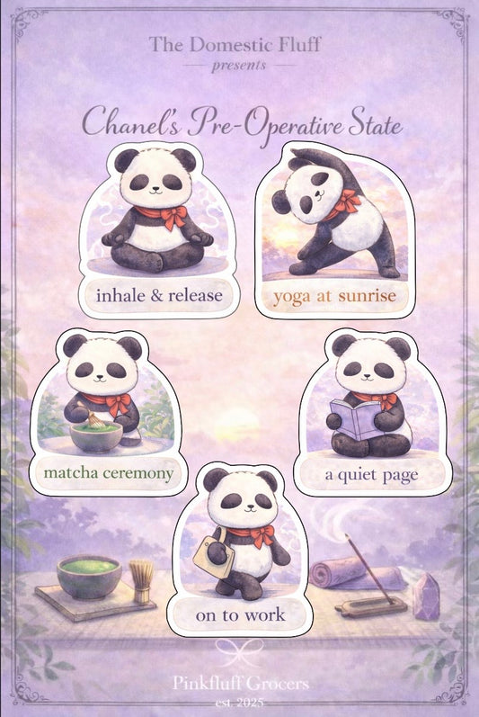 Chanel's Pre-Operational State